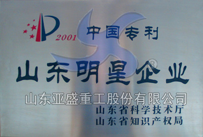 中國專(zhuān)利山東明星企業(yè)